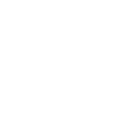 ai_white