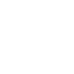 chat bot_white